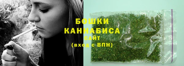 сатива Ладушкин